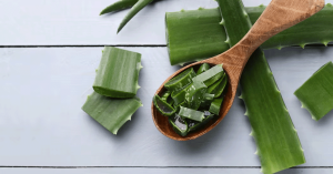 Scopri i benefici dell'aloe vera: il potere curativo della pianta della salute
